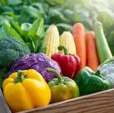 Fresh vegetables
