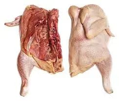 Chicken